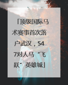 顶级国际马术赛事首次落户武汉，547对人马“飞跃”英雄城