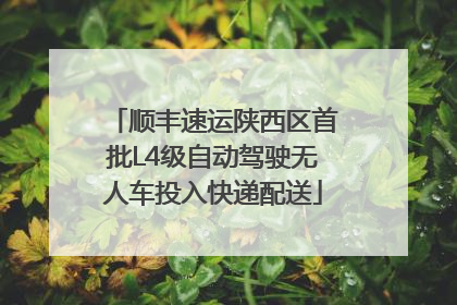 顺丰速运陕西区首批L4级自动驾驶无人车投入快递配送
