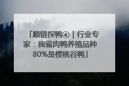 顺链探鸭④｜行业专家：我省肉鸭养殖品种80%是樱桃谷鸭