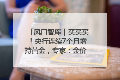 风口智库｜买买买！央行连续7个月增持黄金，专家：金价或仍易涨难跌