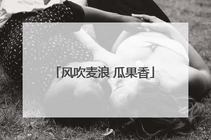 风吹麦浪 瓜果香