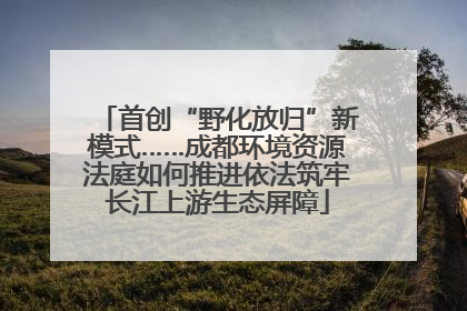 首创“野化放归”新模式……成都环境资源法庭如何推进依法筑牢长江上游生态屏障