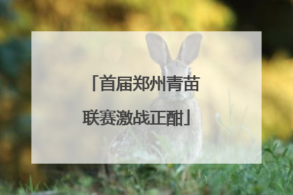 首届郑州青苗联赛激战正酣