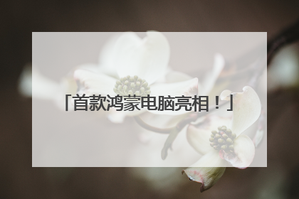 首款鸿蒙电脑亮相！