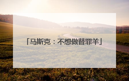 马斯克：不想做替罪羊