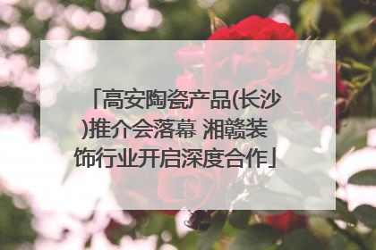 高安陶瓷产品(长沙)推介会落幕 湘赣装饰行业开启深度合作