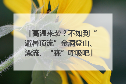 高温来袭？不如到“避暑顶流”金洞登山、漂流、“森”呼吸吧