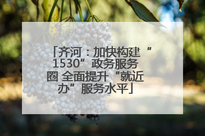齐河：加快构建“1530”政务服务圈 全面提升“就近办”服务水平