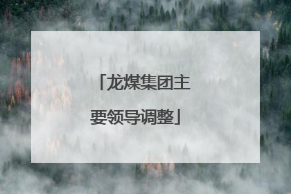 龙煤集团主要领导调整