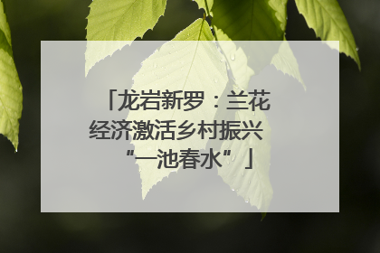 龙岩新罗：兰花经济激活乡村振兴“一池春水”