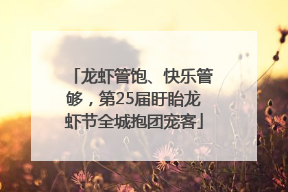 龙虾管饱、快乐管够，第25届盱眙龙虾节全城抱团宠客