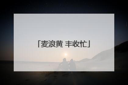 麦浪黄 丰收忙