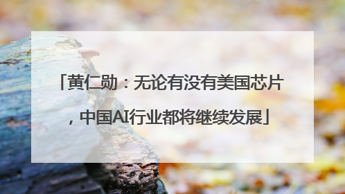 黄仁勋：无论有没有美国芯片，中国AI行业都将继续发展