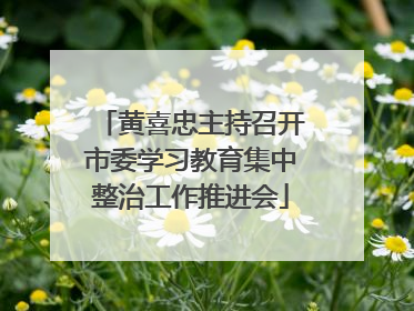 黄喜忠主持召开市委学习教育集中整治工作推进会