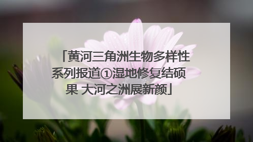 黄河三角洲生物多样性系列报道①湿地修复结硕果 大河之洲展新颜