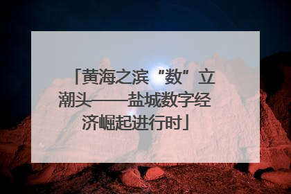 黄海之滨“数”立潮头——盐城数字经济崛起进行时
