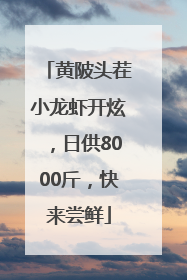 黄陂头茬小龙虾开炫，日供8000斤，快来尝鲜
