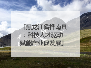 黑龙江省桦南县：科技人才驱动 赋能产业促发展