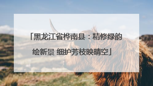 黑龙江省桦南县：精修绿韵绘新景 细护芳枝映晴空