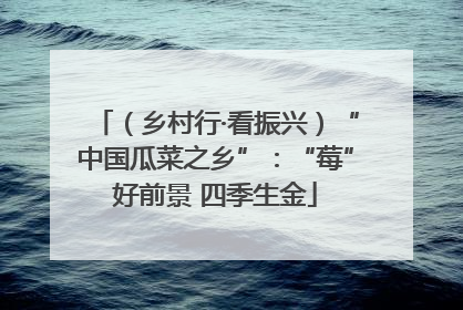（乡村行·看振兴）“中国瓜菜之乡”：“莓”好前景 四季生金