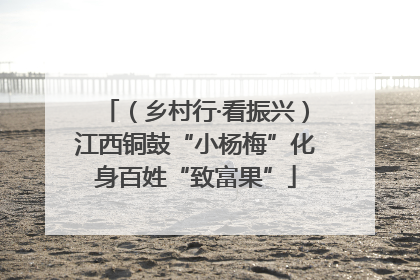 （乡村行·看振兴）江西铜鼓“小杨梅”化身百姓“致富果”