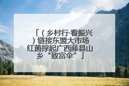 （乡村行·看振兴）链接东盟大市场 红菌撑起广西藤县山乡“致富伞”