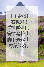 （乡村行·看振兴）靠山吃山，赛罕乌拉山脚下兴起山野菜经济