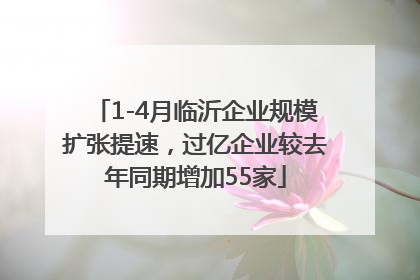 1-4月临沂企业规模扩张提速，过亿企业较去年同期增加55家