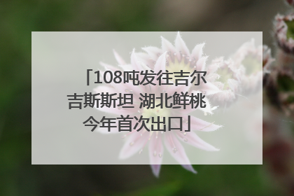 108吨发往吉尔吉斯斯坦 湖北鲜桃今年首次出口