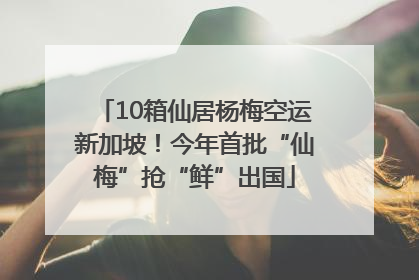10箱仙居杨梅空运新加坡！今年首批“仙梅”抢“鲜”出国