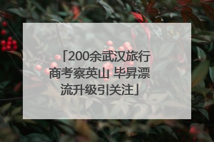 200余武汉旅行商考察英山 毕昇漂流升级引关注