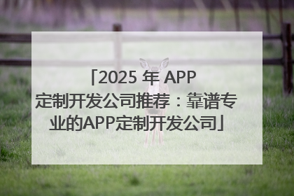 2025 年 APP 定制开发公司推荐：靠谱专业的APP定制开发公司