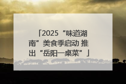 2025“味道湖南”美食季启动 推出“岳阳一桌菜”