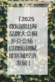 2025微短剧出海品牌大会桐乡分会场：以微短剧赋能区域经济发展