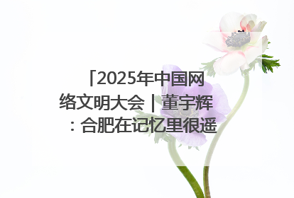 2025年中国网络文明大会｜董宇辉：合肥在记忆里很遥远也很亲切