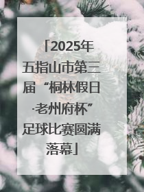 2025年五指山市第三届“桐林假日·老州府杯”足球比赛圆满落幕