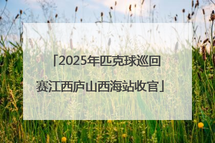 2025年匹克球巡回赛江西庐山西海站收官