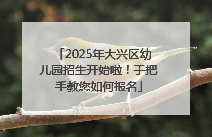 2025年大兴区幼儿园招生开始啦！手把手教您如何报名