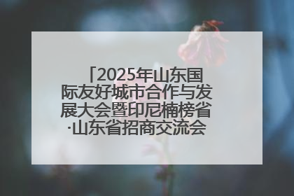 2025年山东国际友好城市合作与发展大会暨印尼楠榜省·山东省招商交流会在济南槐荫举行