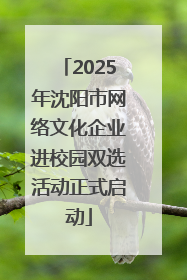 2025年沈阳市网络文化企业进校园双选活动正式启动