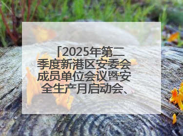 2025年第二季度新港区安委会成员单位会议暨安全生产月启动会、培训会召开