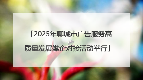 2025年聊城市广告服务高质量发展媒企对接活动举行