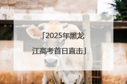 2025年黑龙江高考首日直击