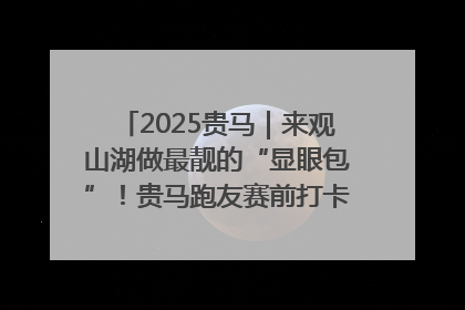 2025贵马｜来观山湖做最靓的“显眼包”！贵马跑友赛前打卡点燃奔跑热情