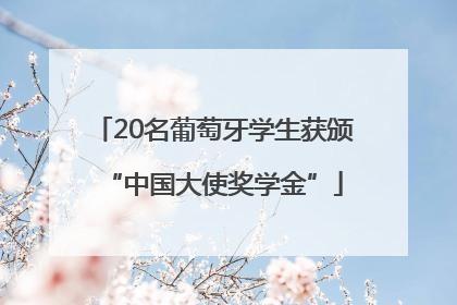 20名葡萄牙学生获颁“中国大使奖学金”