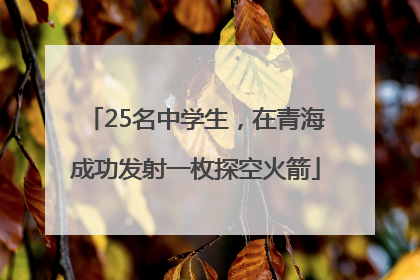 25名中学生，在青海成功发射一枚探空火箭