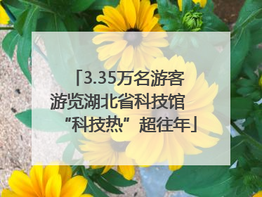 3.35万名游客游览湖北省科技馆 “科技热”超往年