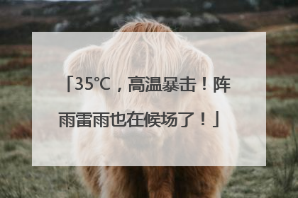 35℃，高温暴击！阵雨雷雨也在候场了！