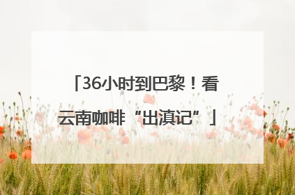 36小时到巴黎！看云南咖啡“出滇记”