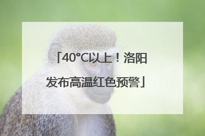 40°C以上！洛阳发布高温红色预警